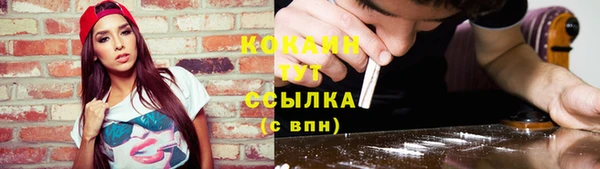 гидра Саяногорск