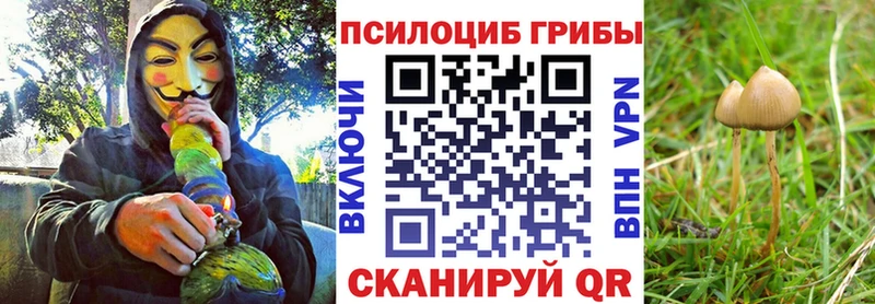 Галлюциногенные грибы мухоморы  мега рабочий сайт  Лыткарино 