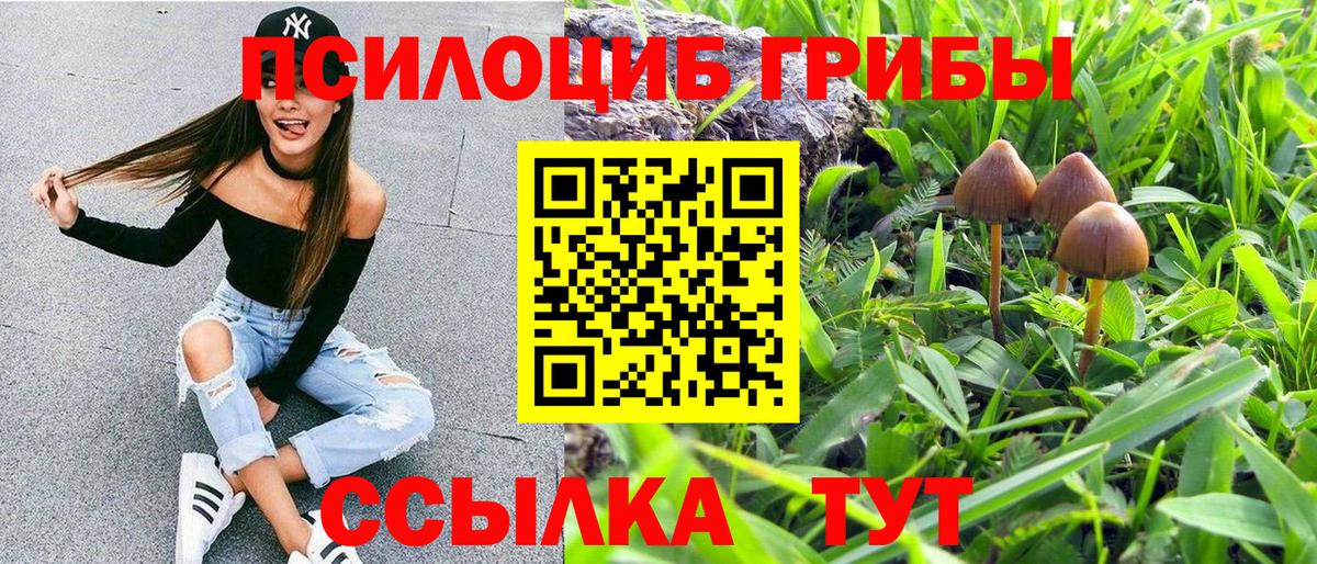 Галлюциногенные грибы прущие грибы Лыткарино