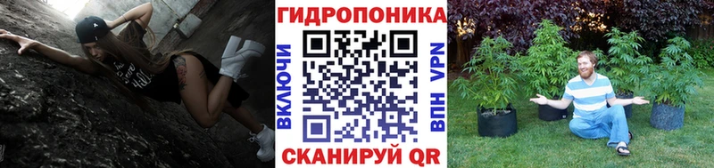 Шишки марихуана сатива  дарнет шоп  Лыткарино 